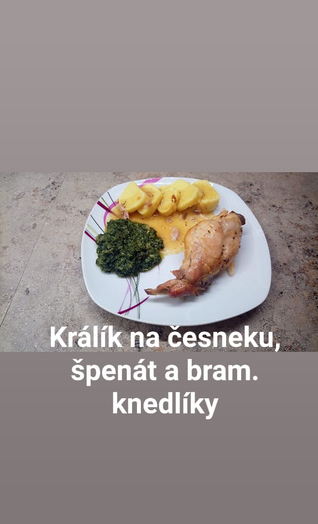 králík